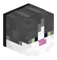 Cat (Jellie, black collar)