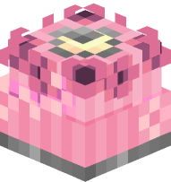 Lamp Shade (flowers)