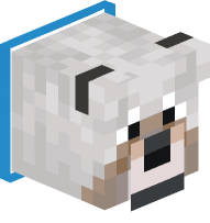 Light Blue Collared Dog