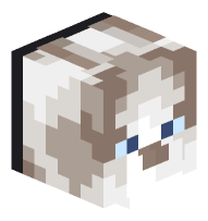 Cat (Ragdoll, black collar)