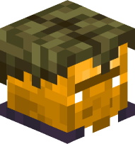 Gold Swamp Zombie Villager