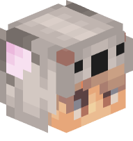 Boy in Koala Costume