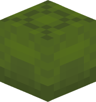 Shulker box (green)