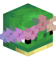 Turtle with Flower Crown