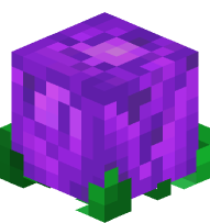 Rose (purple)