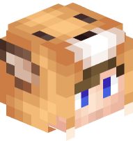 Boy with Fox Costume