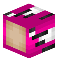 Maruchan Ramen Noodles 12 Pack (Shrimp Flavor)