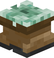 Succulents in a Boot