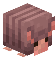 Armadillo (old design)