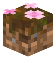 Petals on Podzol