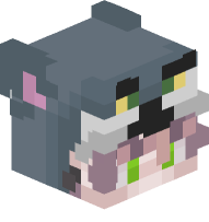 Boy with Tom Costume