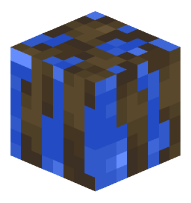 Waterlogged Mangrove Roots