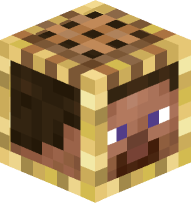 Steve inside of Scaffolding