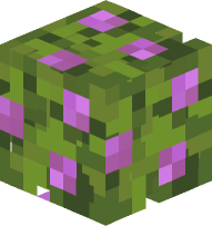 Azalea Leaves with Flowers