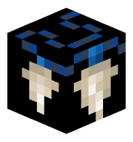 Honed Shark Tooth Necklace