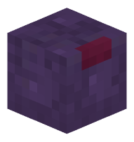 Endermite