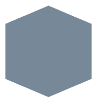 Light slate gray (#778899)