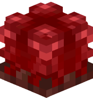 Nether Wart