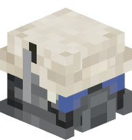 Winterized Riot Helmet