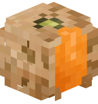 Cantaloupe-Melon (Sliced)