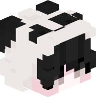 Boy with Panda Costume