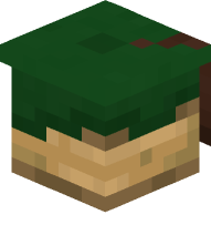 Graduation Cap (green, brown)