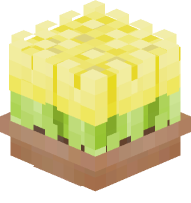 Potted Tulips (Yellow)