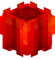 Hollowed Bell Pepper