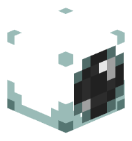 Eyeball (black pupil)