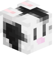 Black and White Rabbit