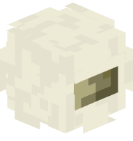 Bone Block