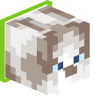 Collared Ragdoll Cat (lime)