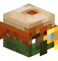 Cartographer Zombie Villager