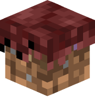 Nether Dirt