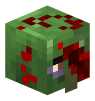 Injured Zombie Villager
