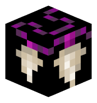 Sharp Shark Tooth Necklace