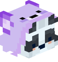 Panda with Bear Costume