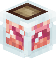 Fermented Spider Eye in a Bottle