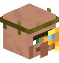 Cartographer Villager