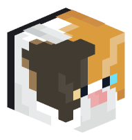 Cat (Calico, black collar)