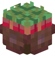 Basket with Beetroot