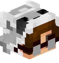 Boy In Raccoon Costume