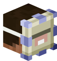 Man with Elder Guardian Mask