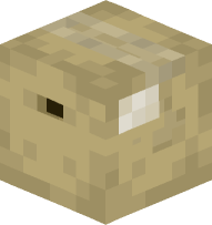 Cardboard Shipment Box