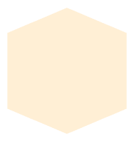 Papaya whip (#FFEFD5)