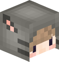 Boy with Mouse Costume