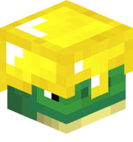 Sea Turtle with Gold Helmet