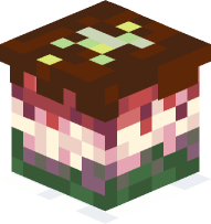 Venetian Rainbow Cake on a Plate