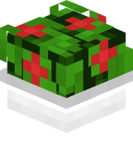 Potted Bush with Red Flowers