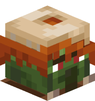 Leatherworker Zombie Villager